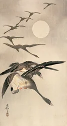 Oche Volanti e Luna Piena, c. primi anni 1900